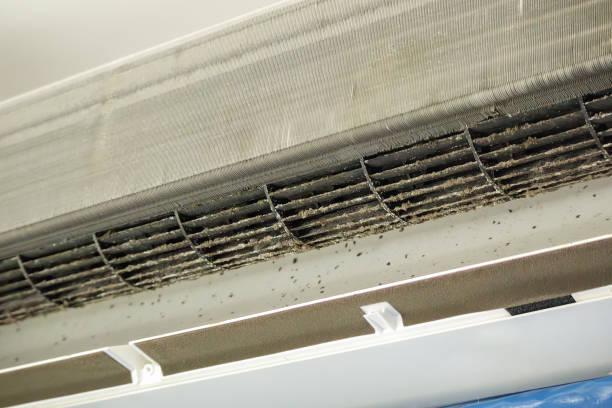 Best Local Air Duct Cleaning Services  in Hooverson Heights, WV
